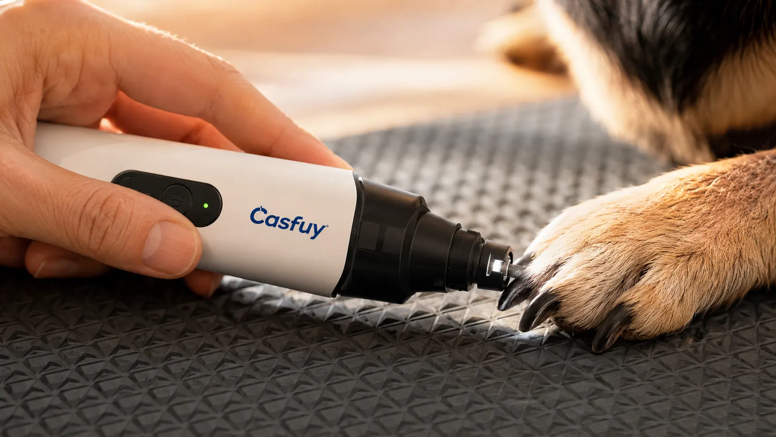 Person using a cordless nail grinder on a calm medium-sized dog sitting on a couch