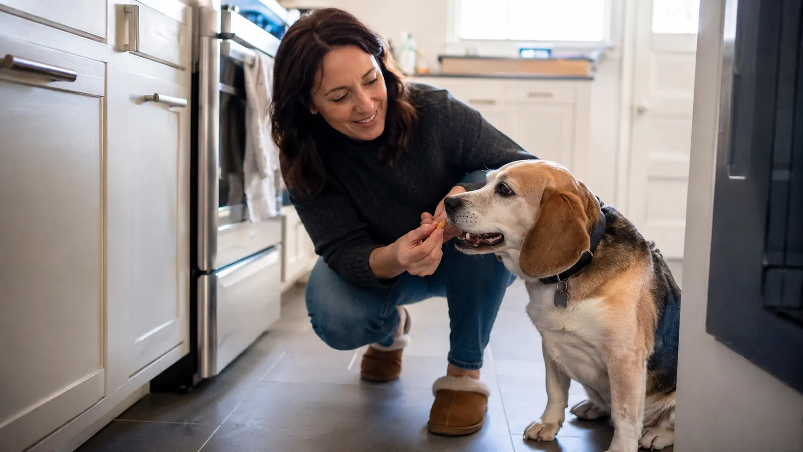 Woman and senior beagle sitting together calmly on a kitchen floor, dog looking content
