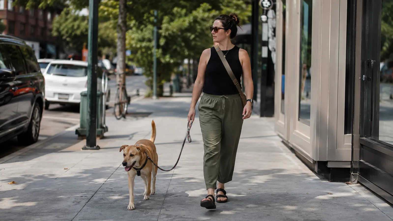 How to Protect Dog Paws From Heat and Cold: A Season-by-Season Guide